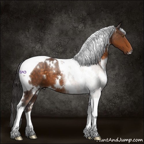 Horse Color:White Spotted Buckskin Tobiano 