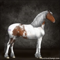 Horse Color:White Spotted Buckskin Tobiano 