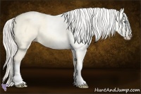 Horse Color:Cremello Dun 