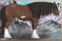 Horse Color:Bay Splash Frame