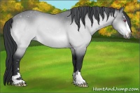 Horse Color:Brown Chinchilla Sabino