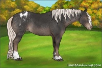 Horse Color:Liver Chestnut Sabino Appaloosa Rabicano