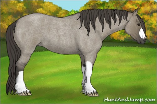 Horse Color:Smoky Grullo Roan 
