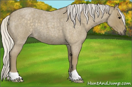 Horse Color:Silver Smoky Blue Roan