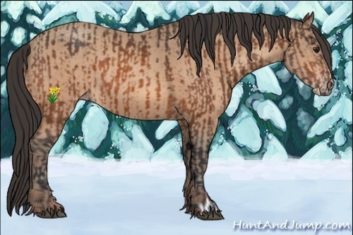 Horse Color:Brown Rabicano  and Sable Champagne Rabicano 