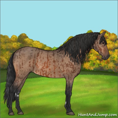 Horse Color:Brown Rabicano and Brown Dun Rabicano