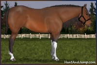Horse Color:Buckskin Tobiano 