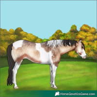 Horse Color:Brown Ice Onyx Sabino Tobiano 