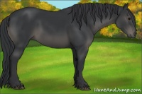 Horse Color:Black Sabino
