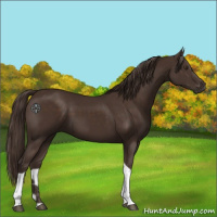Horse Color:Liver Chestnut Tobiano 