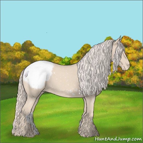 Horse Color:Cremello Appaloosa 