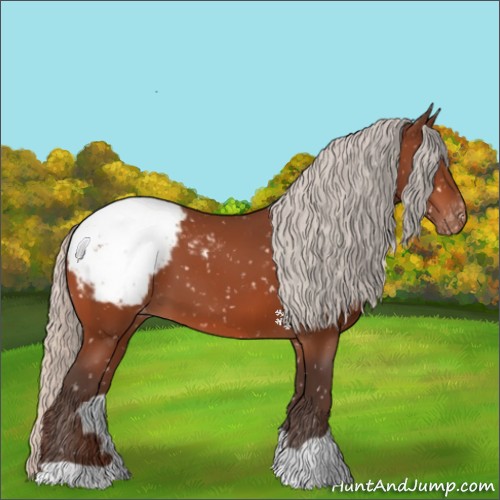Horse Color:Silver Bay Appaloosa 