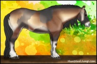 Horse Color:Blue Onyx  and Brown Onyx 