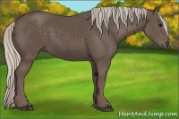 Horse Color:Silver Black
