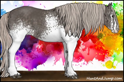Horse Color:White Spotted Silver Black 