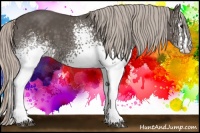 Horse Color:White Spotted Silver Black 