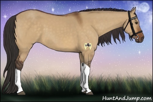 Horse Color:Buckskin Dun Tobiano 