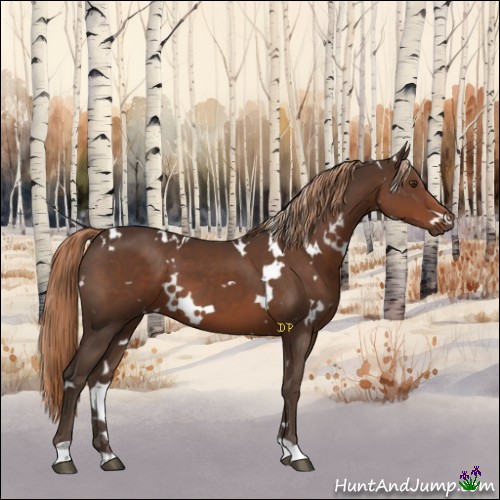 Horse Color:White Spotted Liver Chestnut 