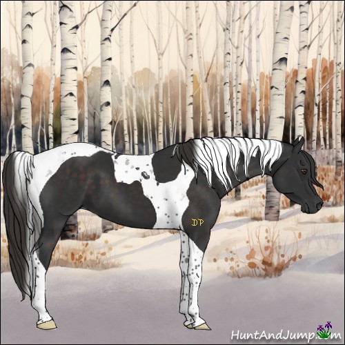 Horse Color:Liver Chestnut Tobiano 