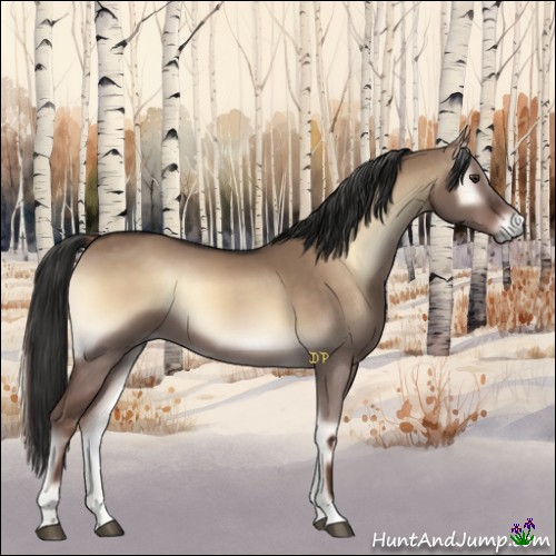 Horse Color:Liver Red Dun Onyx 