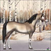 Horse Color:Liver Red Dun Onyx 
