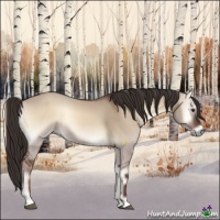 Horse Color:Liver Red Dun Onyx 