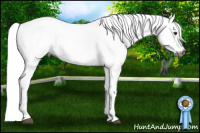 Horse Color:Gray White Spotted Silver Bay 