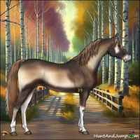 Horse Color:Liver Red Onyx 