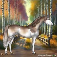 Horse Color:Liver Red Onyx Splash 