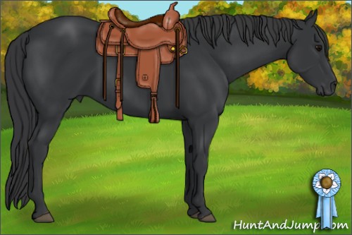 Horse Color:Black Rabicano 