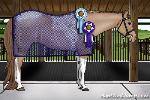 Horse Color:Black Pearl Tobiano Rabicano 