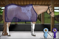 Horse Color:Black Pearl Tobiano Rabicano