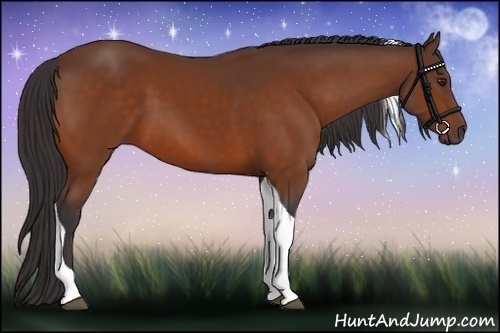 Horse Color:Buckskin Tobiano 