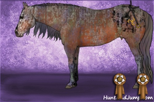 Horse Color:Void Bay Sabino Appaloosa  and Void Nacre Bay Ice Roan Sabino Appaloosa 