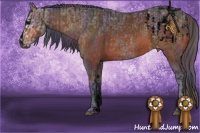 Horse Color:Void Bay Sabino Appaloosa  and Void Nacre Bay Ice Roan Sabino Appaloosa 
