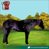 Horse Color:Void Watercolor Buckskin Splash Tobiano Appaloosa