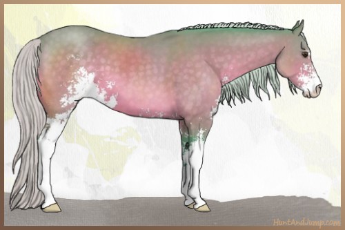 Horse Color:Watercolor Silver Brown Sabino 
