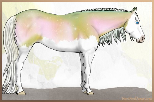 Horse Color:Watercolor Silver Brown Onyx Sabino Splash 
