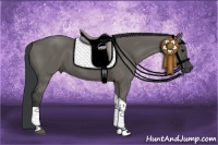 Horse Color:Grullo Tobiano