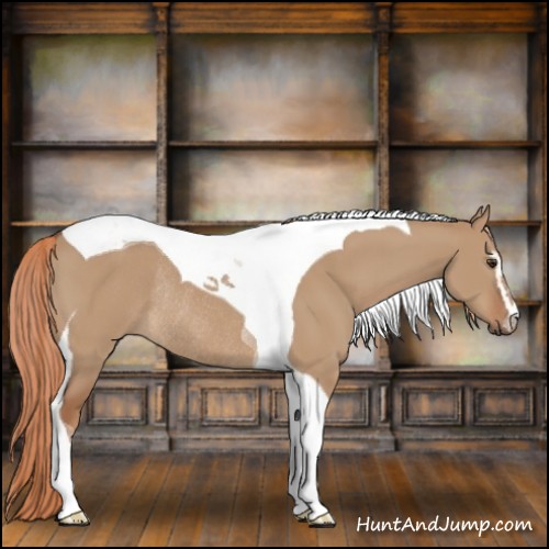 Horse Color:Red Dun Sabino Tobiano Rabicano 