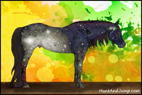 Horse Color:ERROR: UNKNOWN ANOMALY