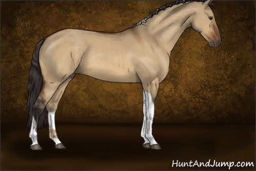 Horse Color:Buckskin Dun Tobiano 