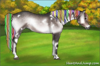 Horse Color:Gray Platinum Painted White Spotted Silver Buckskin Onyx Rabicano 