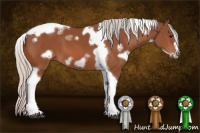 Horse Color:White Spotted Silver Bay Tobiano Frame 