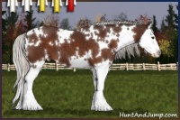 Horse Color:White Spotted Silver Brown Splash 