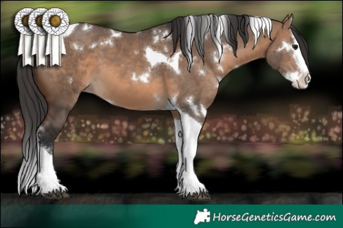 Horse Color:White Spotted Brown Dun Splash Tobiano