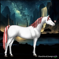 Horse Color:Gray Painted Chestnut