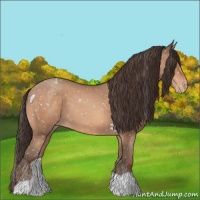 Horse Color:Sable Champagne Snowflake Varnish 