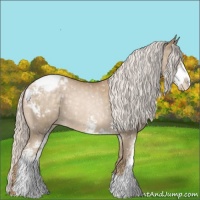 Horse Color:Silver Buckskin Pearl Sabino Appaloosa 