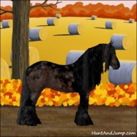 Horse Color:Void Brown Tobiano 